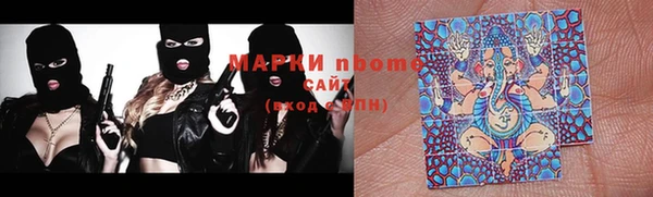 прущие грибы Алексин