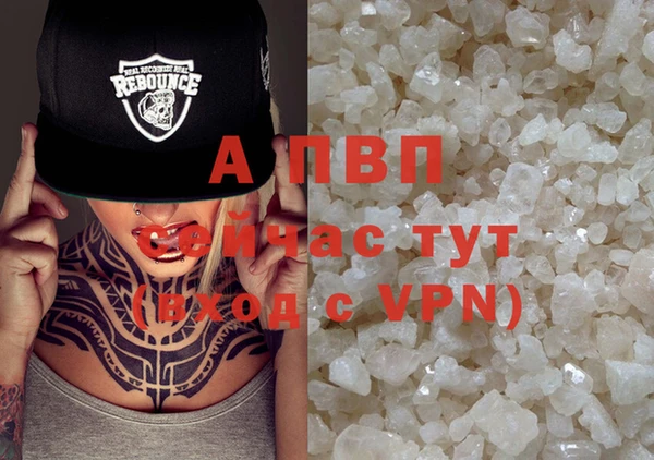 apvp Инсар