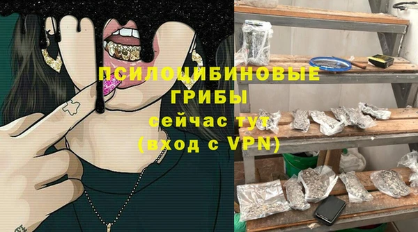 прущие грибы Алексин