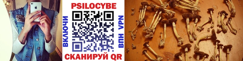Купить  Туймазы  Галлюциногенные грибы мицелий 